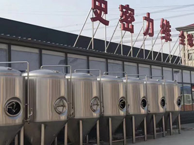 木里精酿啤酒设备厂—市场规模与跨界新需求